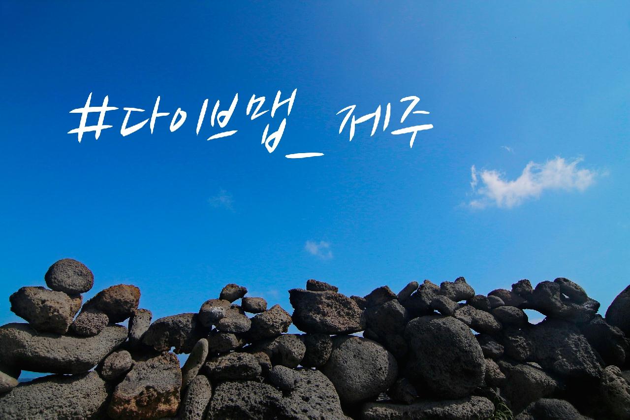 제주도 서귀포 펀다이빙 즐기기