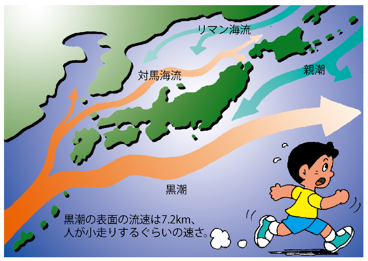 済州島のスキューバダイビング水温について