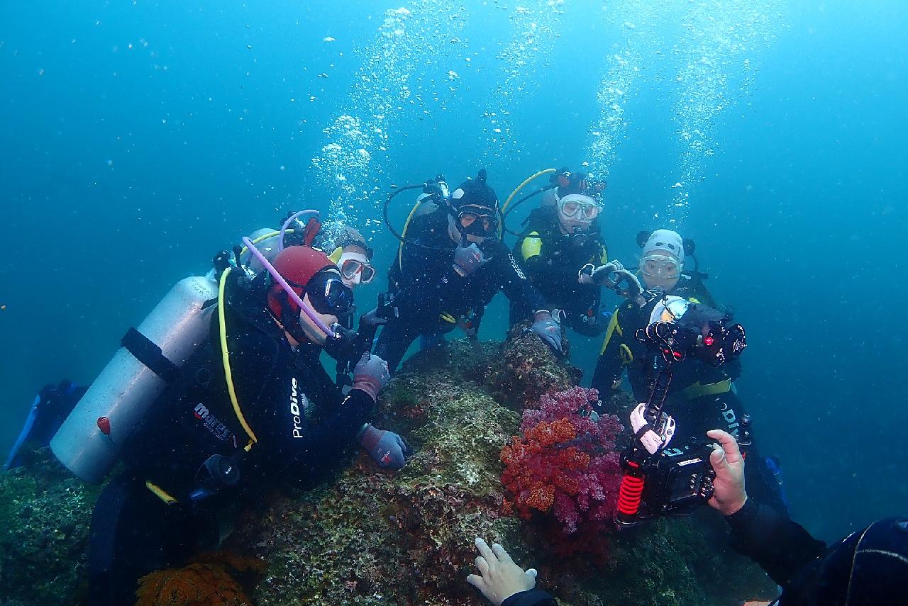 済州島の海の魅力に満ちた大学の5人の友人