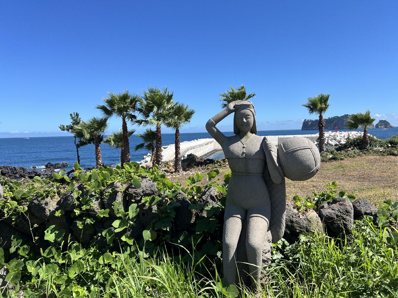 제주도 날씨가 미쳤어요.