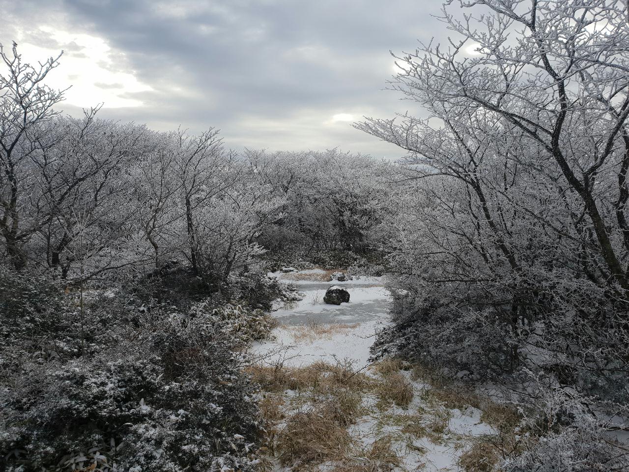 제주도 한라산의 눈꽃!!