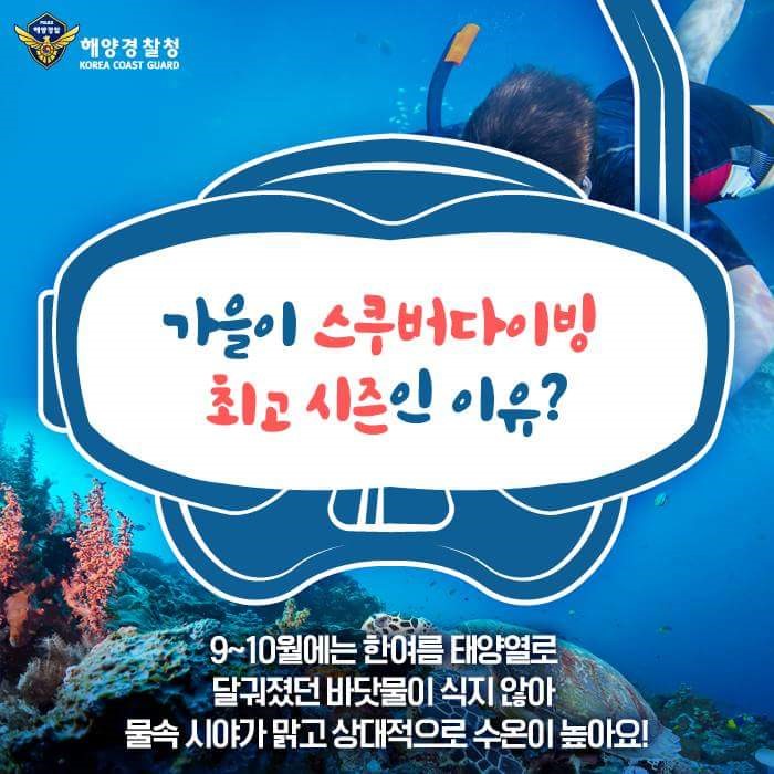 스쿠버 다이빙 안전하게 즐기는 방법