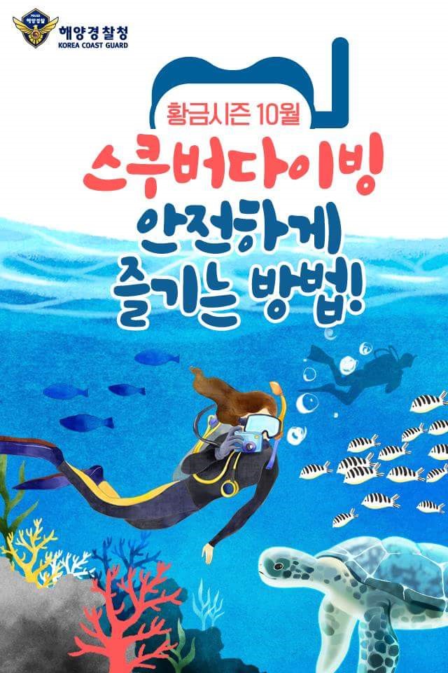 스쿠버 다이빙 안전하게 즐기는 방법