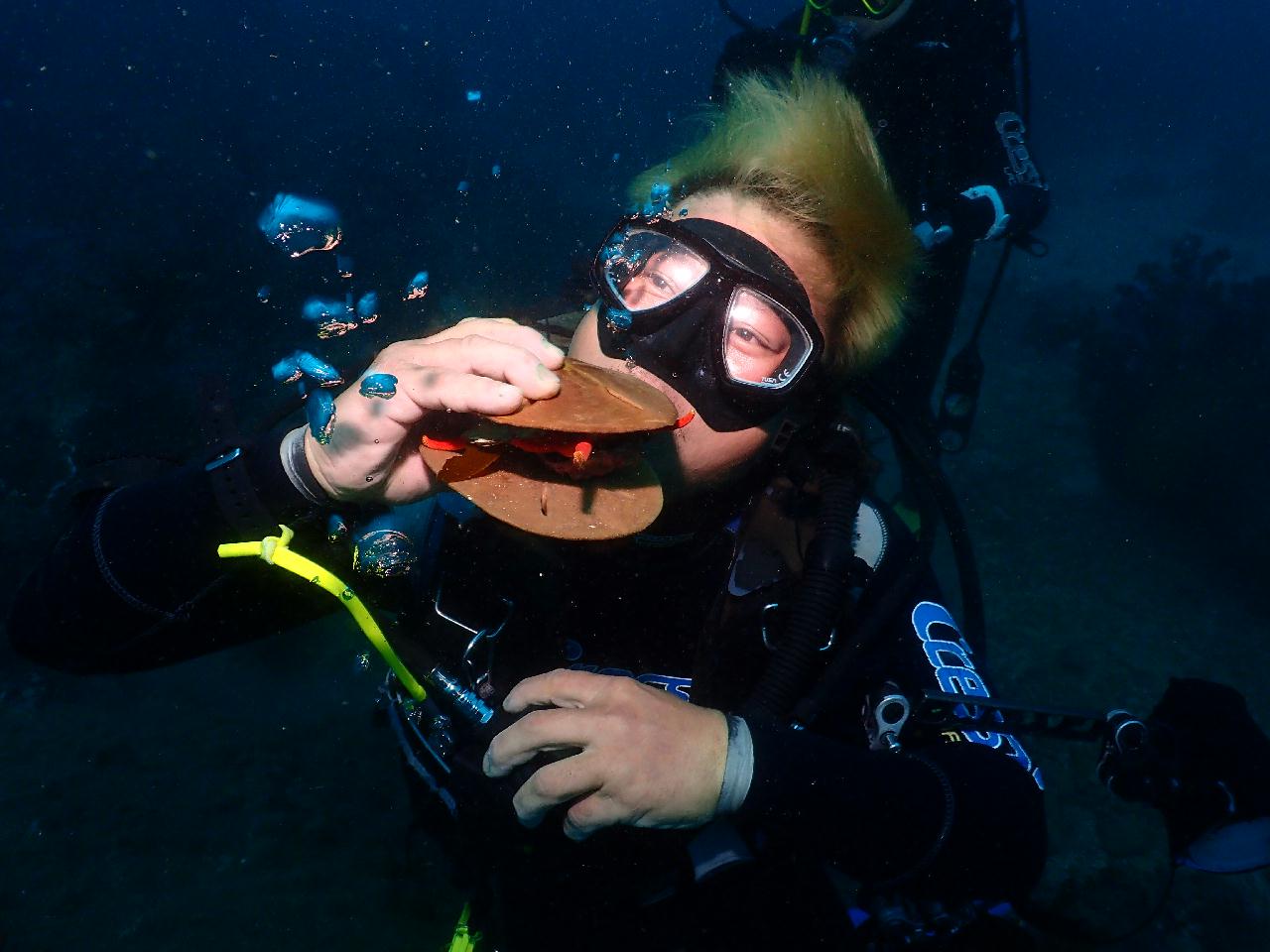 패디 페스티벌 & 만조 & 물밖보다 물속이 더 따뜻한 제주도 다이빙