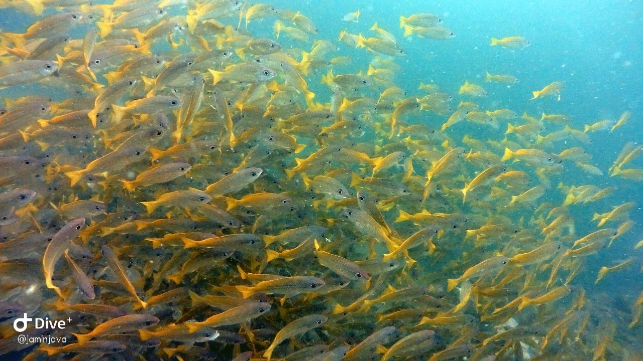Phiphi island - Koh nok mai