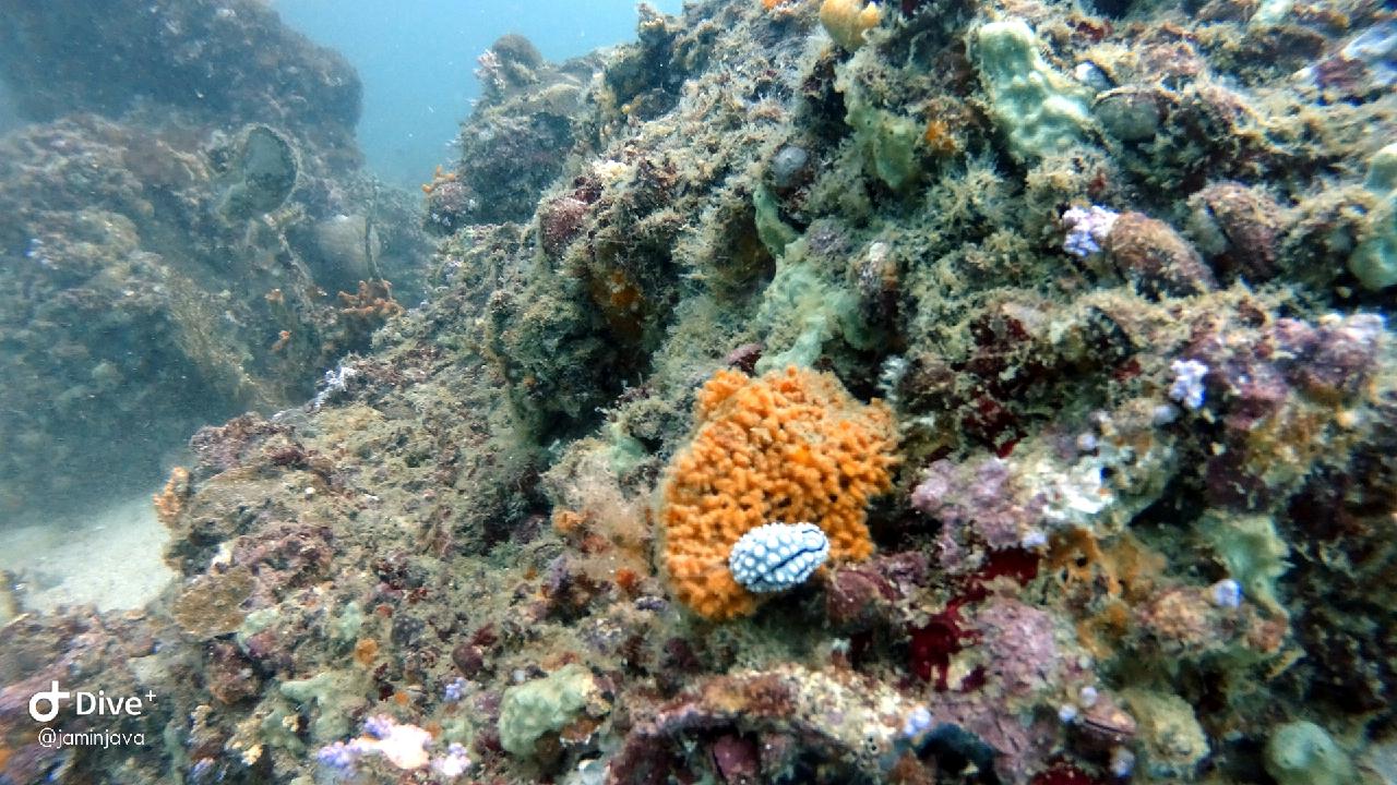 Phiphi island - Koh nok mai