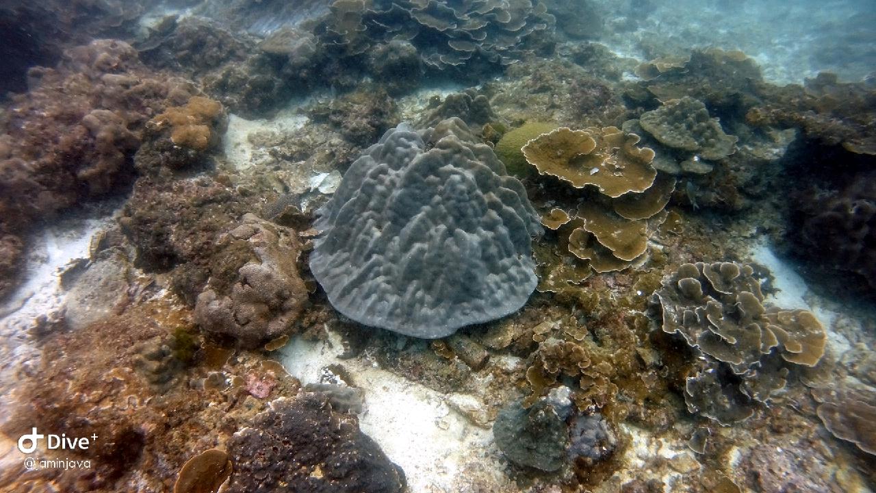 Phiphi island - Koh bida nok