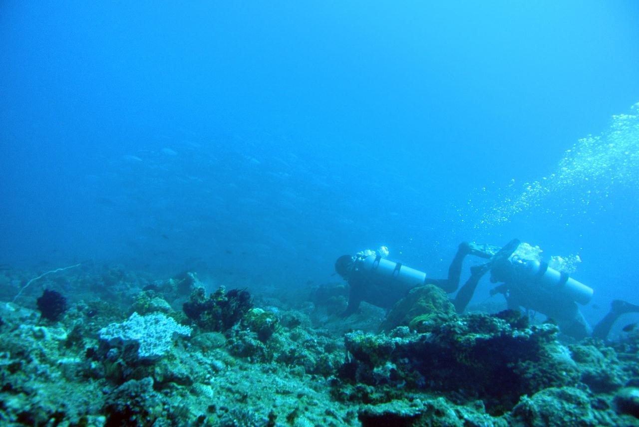두마게티 스쿠버다이빙 셋쨋날
