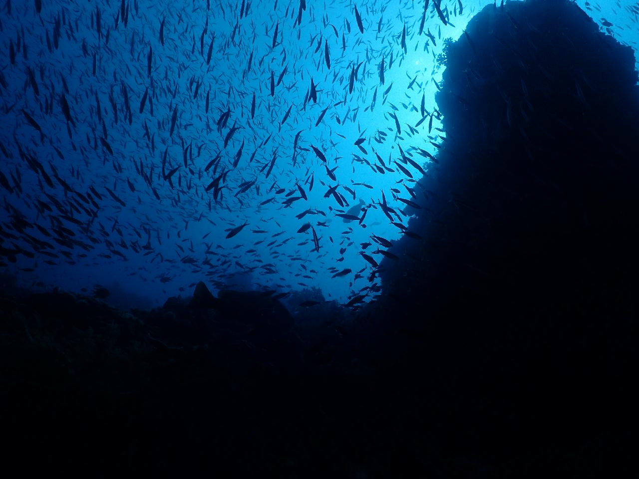 이름도 이쁘고 포인트도 이쁜 차펠