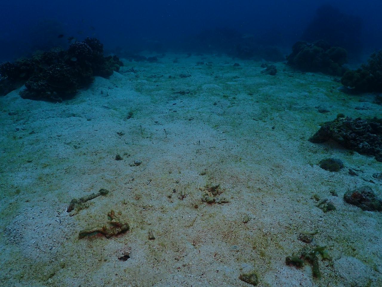 이름도 이쁘고 포인트도 이쁜 차펠