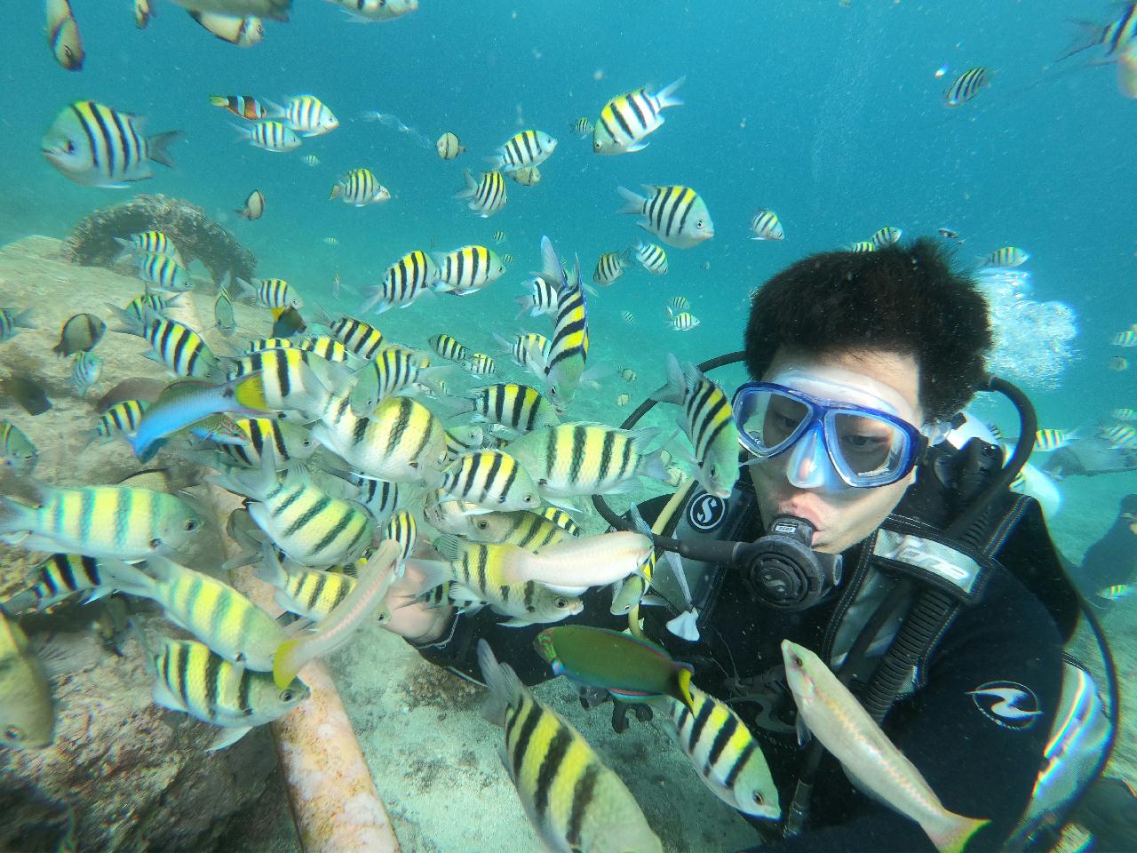 첫 다이빙, SNSI OPEN WATER 시작