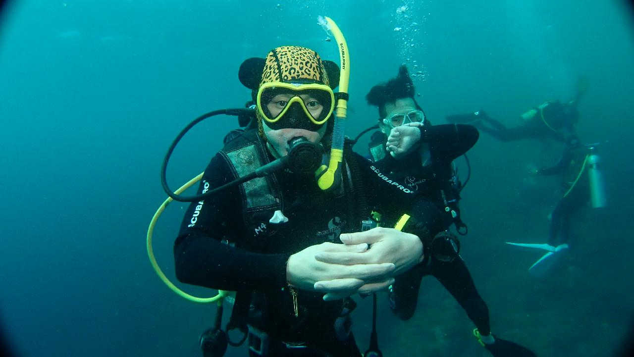 2018.02.03 Bohol#2-3