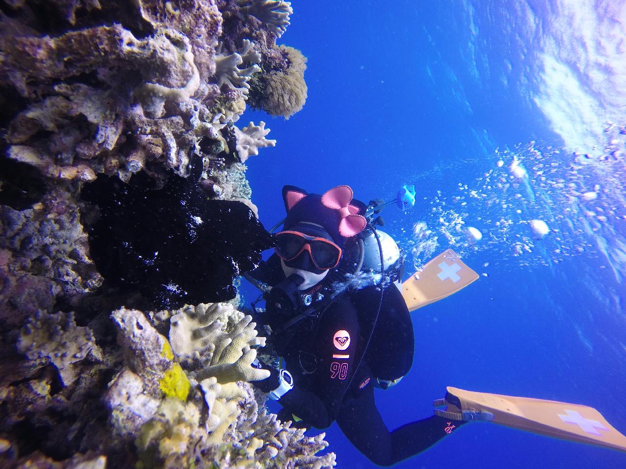 세부 보홀 - 팡라오 각앙