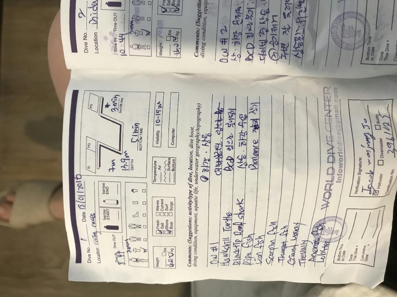 피피섬 - viking caves