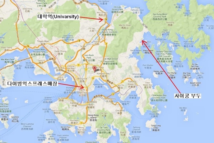홍콩에서 다이빙했어요.. 
