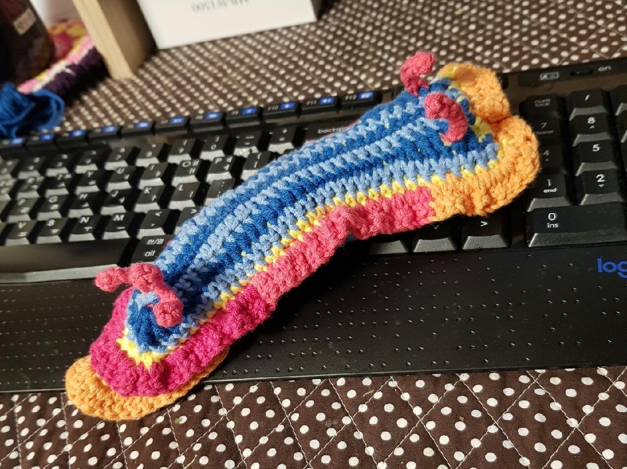 누디 브랜치