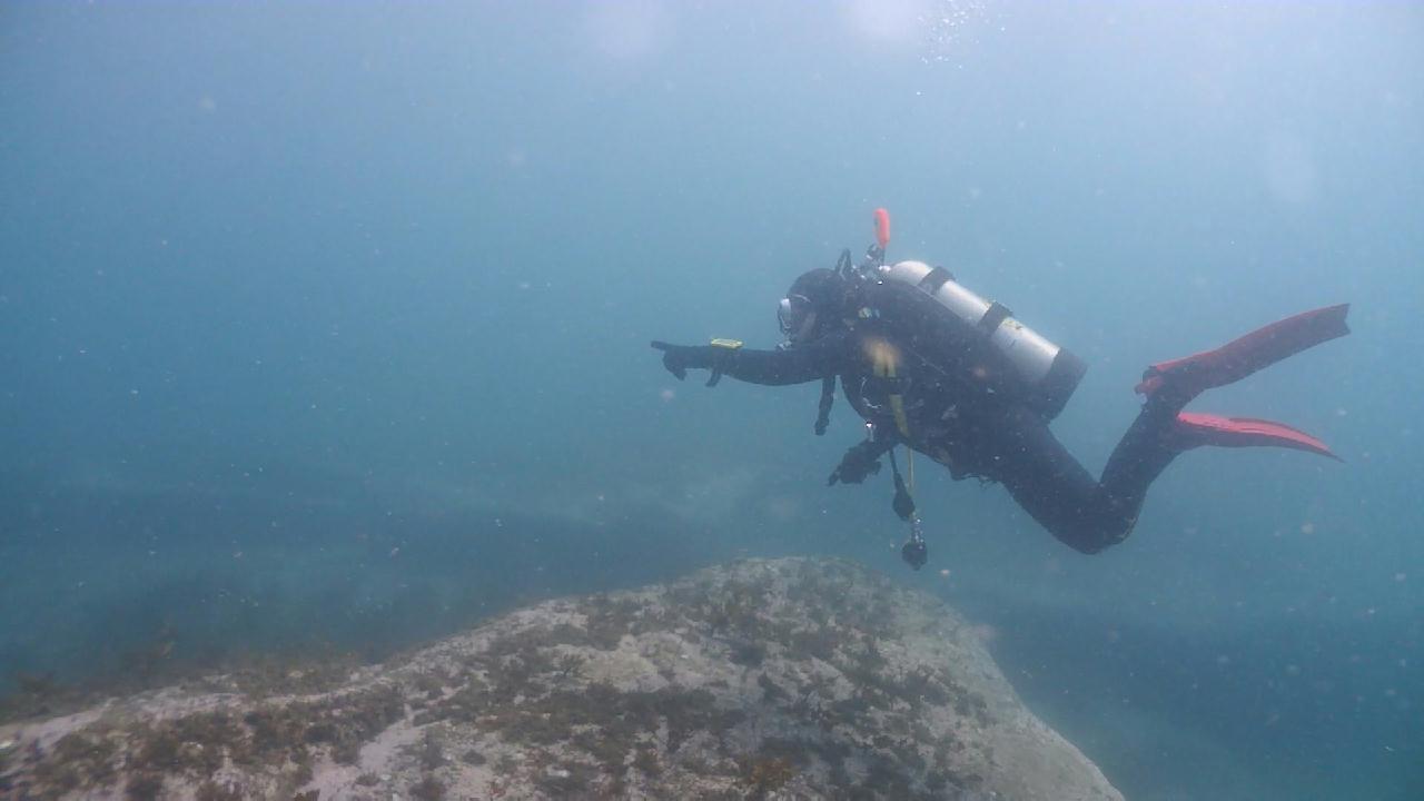 동해 보트다이빙