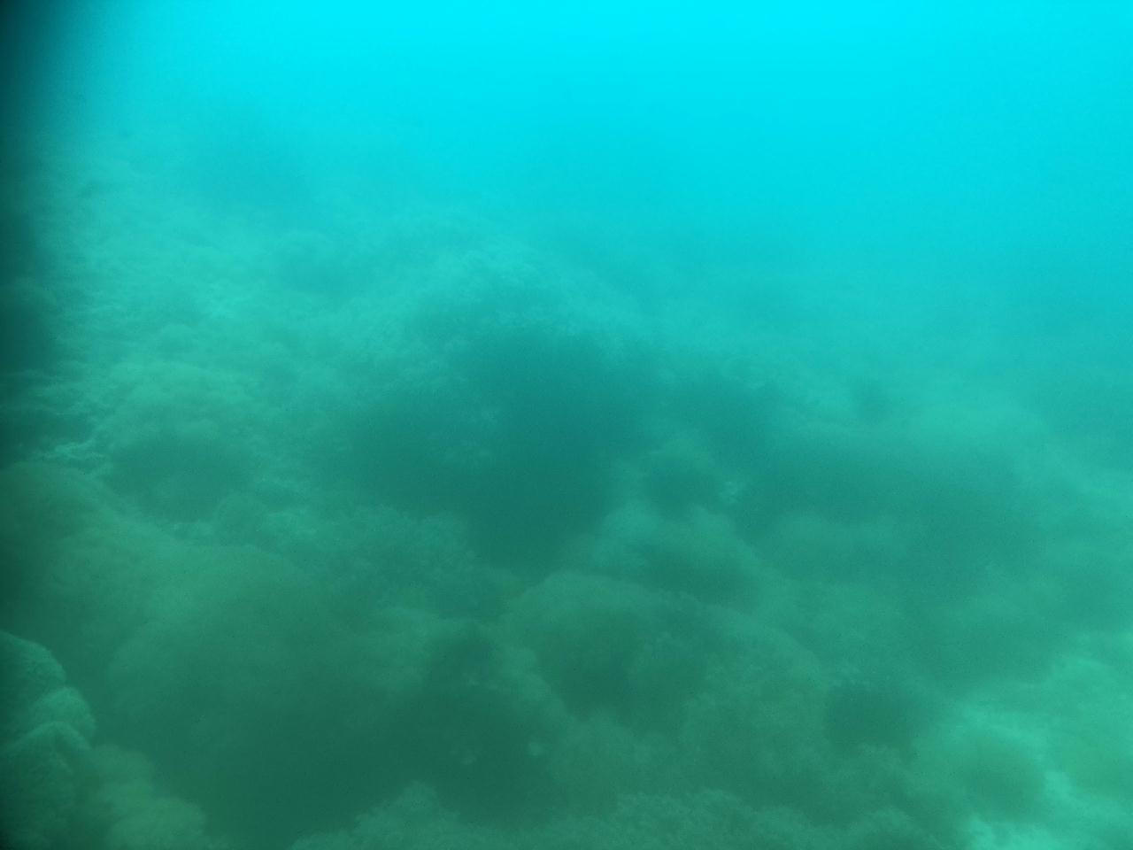 필리핀, 보홀 - 파밀라칸 A