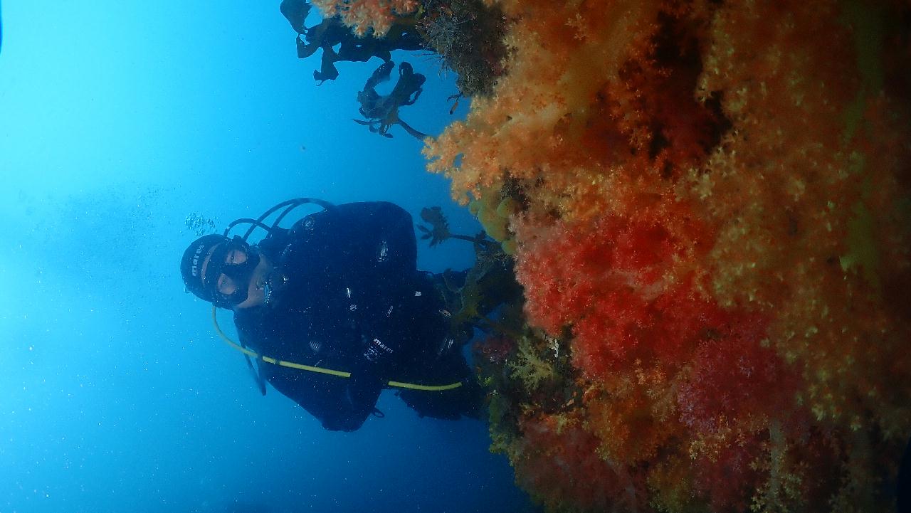 서귀포 - 문섬새끼섬 직벽
