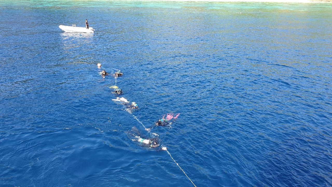 Similan Liveaboard #10.Richelieu Rock-1