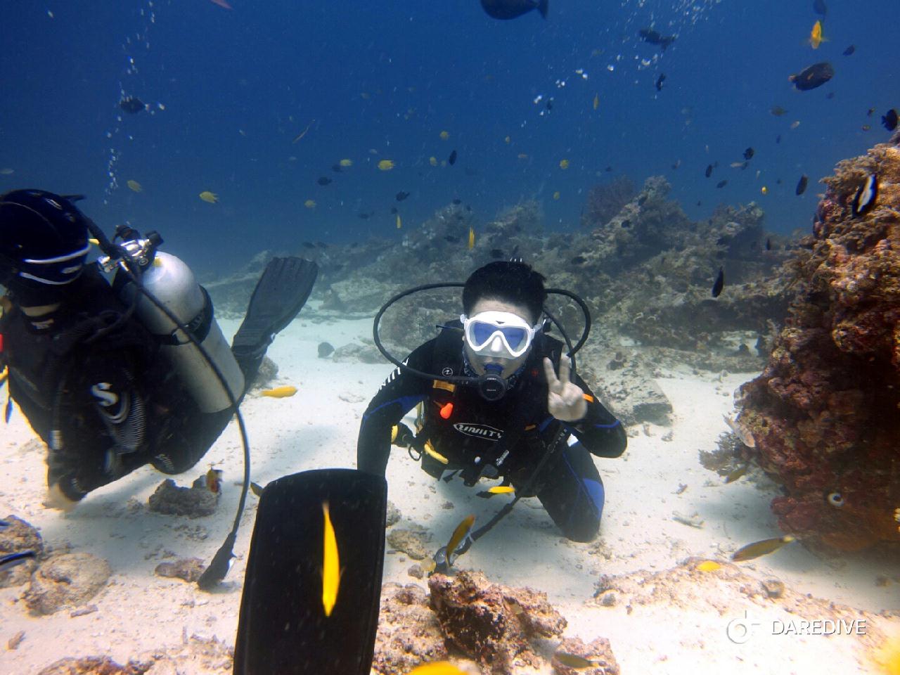 올랑고 - 섬 뒷포인트