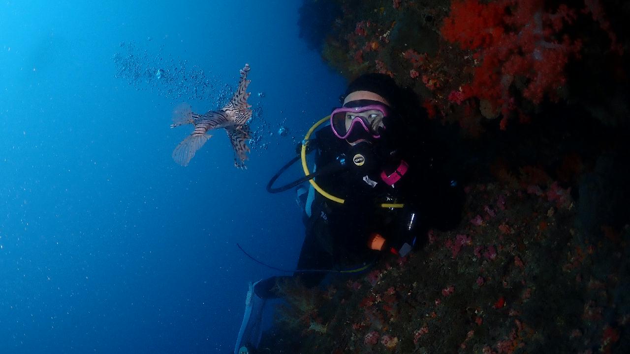 쏠배감펭과 놀기