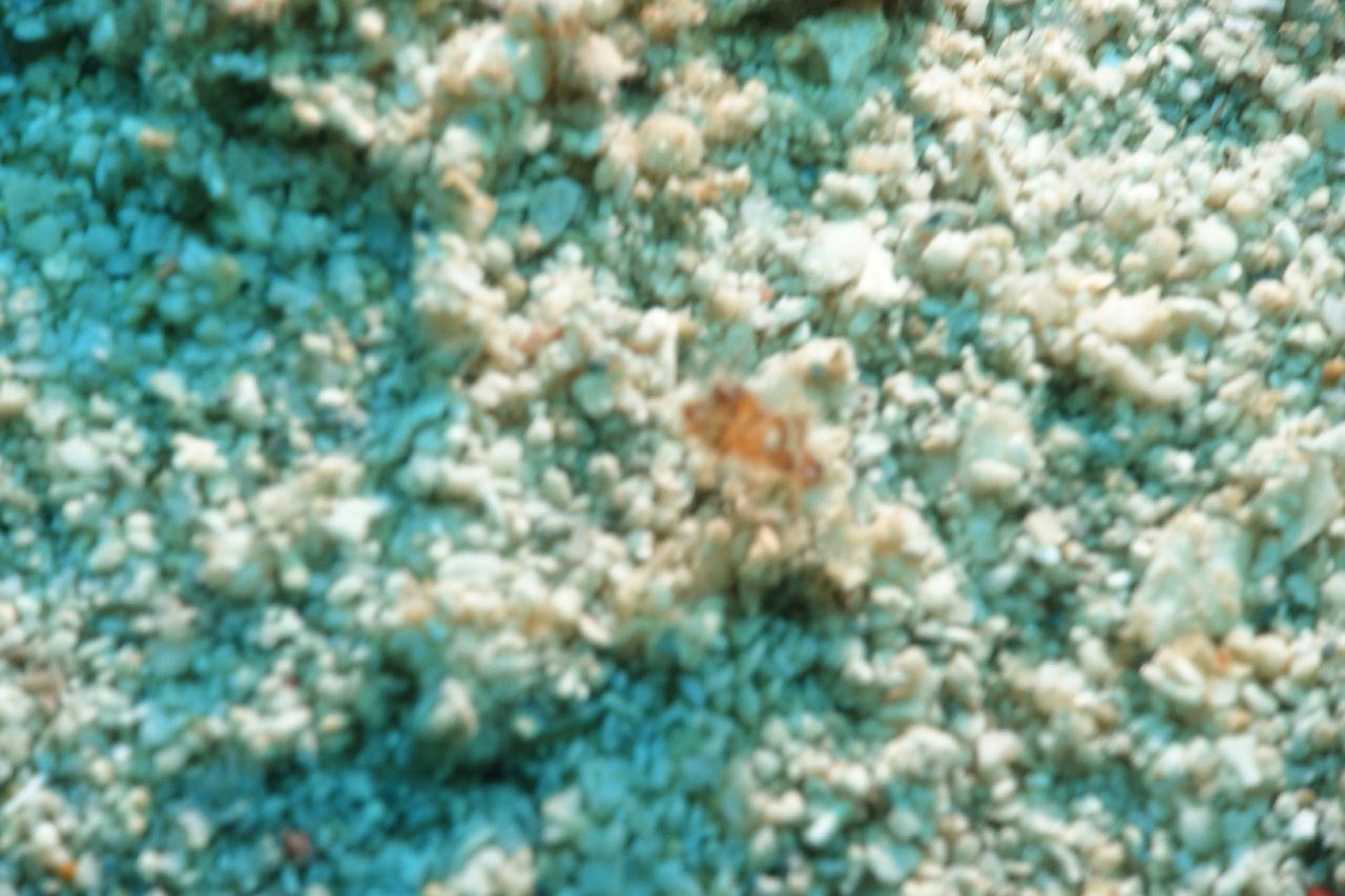 세부 스쿠버블  - New 버블 