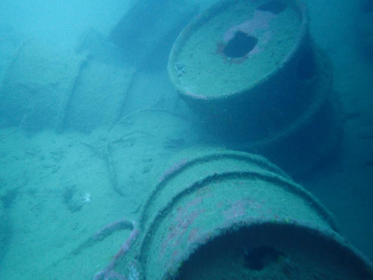 코론섬투어 열번째 다이빙