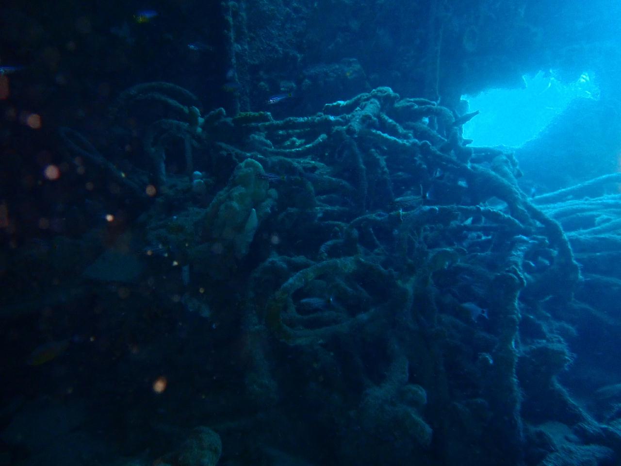 코론섬투어 열번째 다이빙