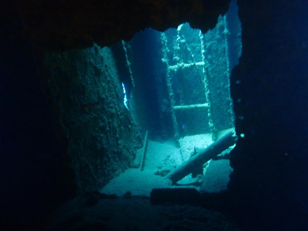 코론섬투어 열번째 다이빙