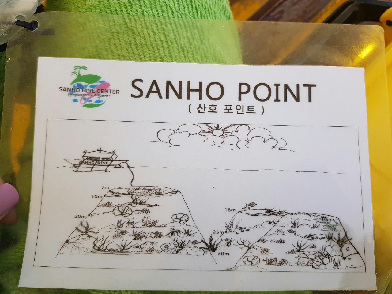 코론-산호 다이브 - 산호 포인트
