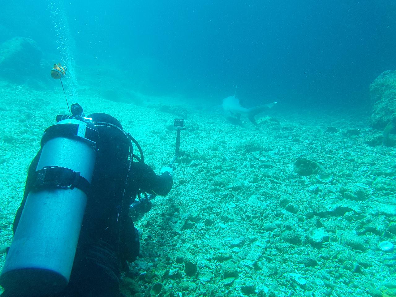 말라파스쿠아 솔 다이버스 클럽 - Gato island (cave)