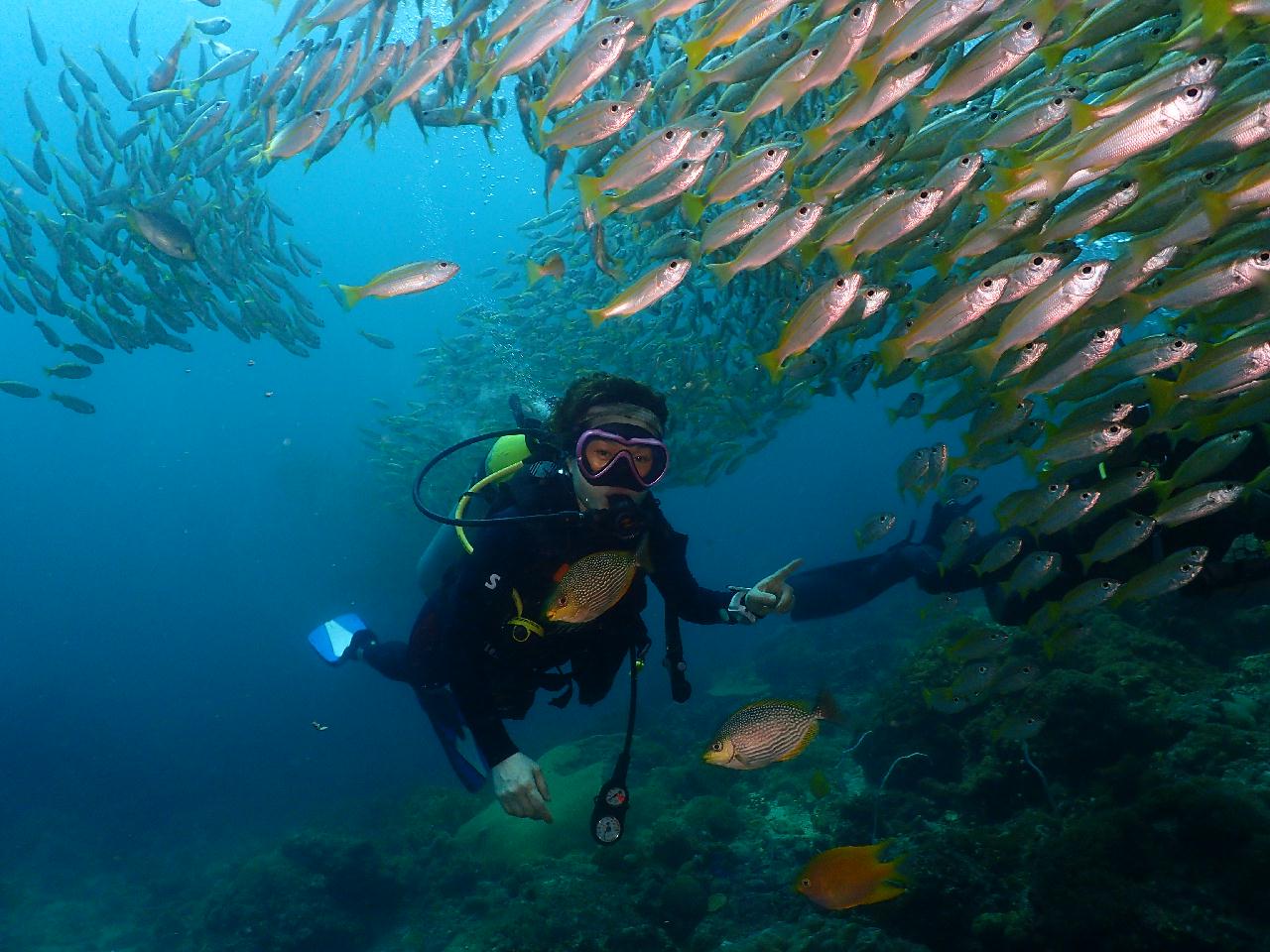 100만년만에 나홀로 푸켓 펀다이빙 
