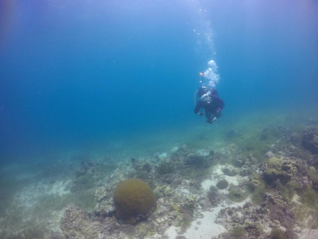 세부 막탄 [스쿠버블] - 샹그릴라 렉