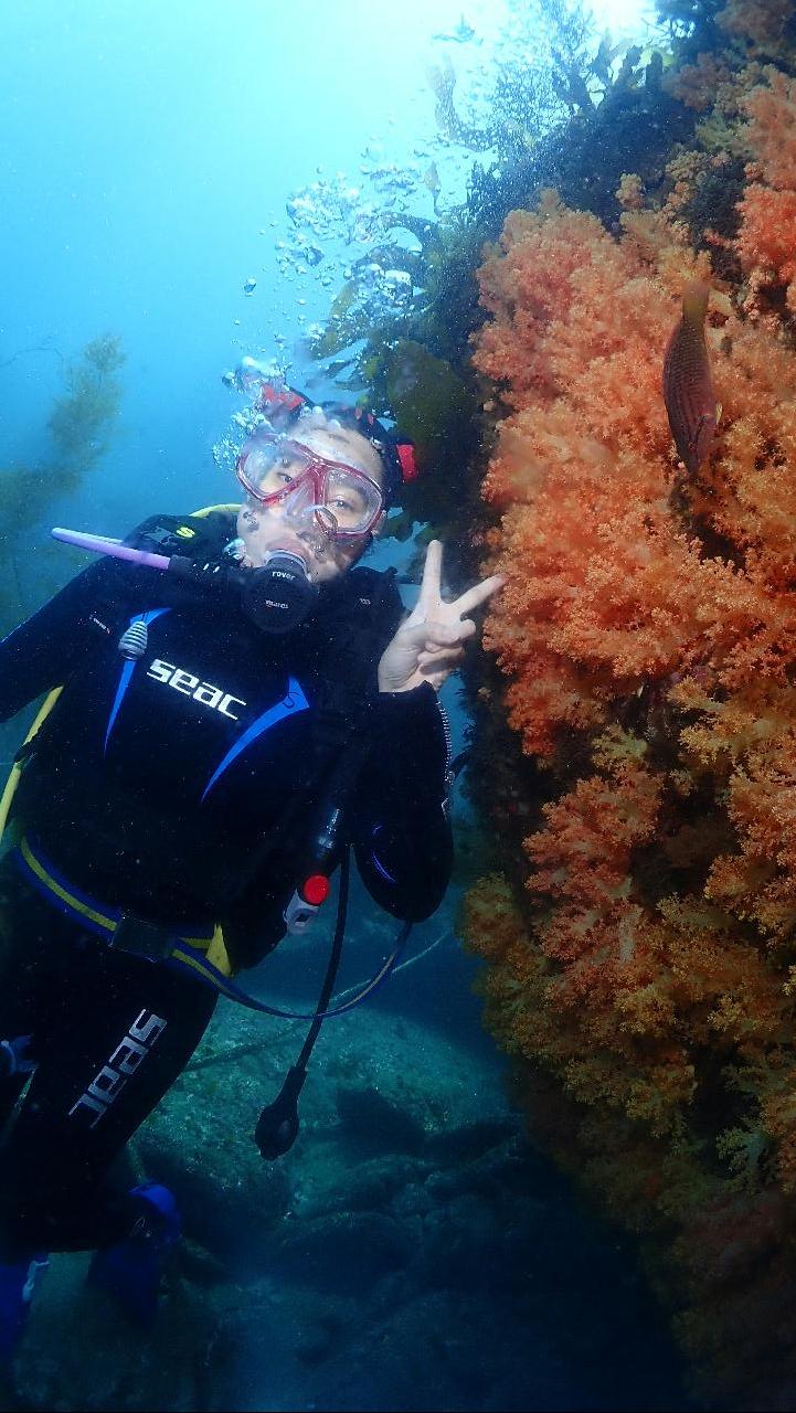 Discovery diving with the guests from Malaysia