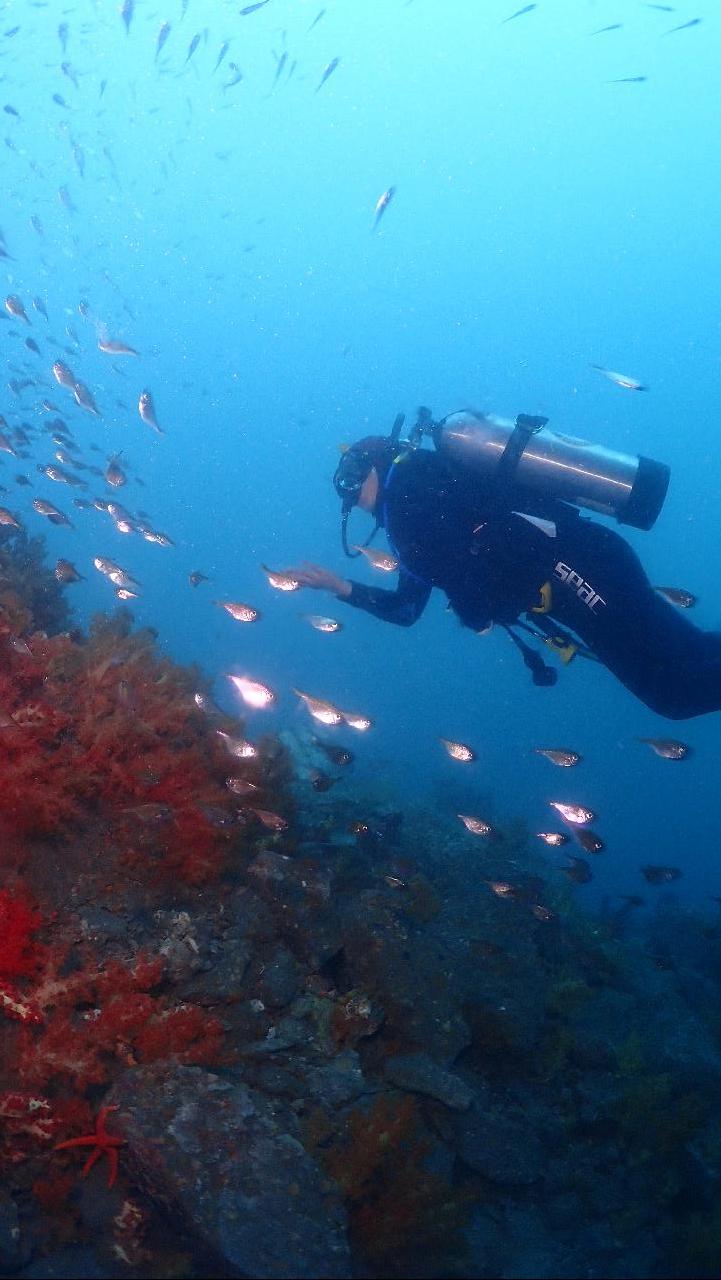 Fun diving with the guest from Malaysia