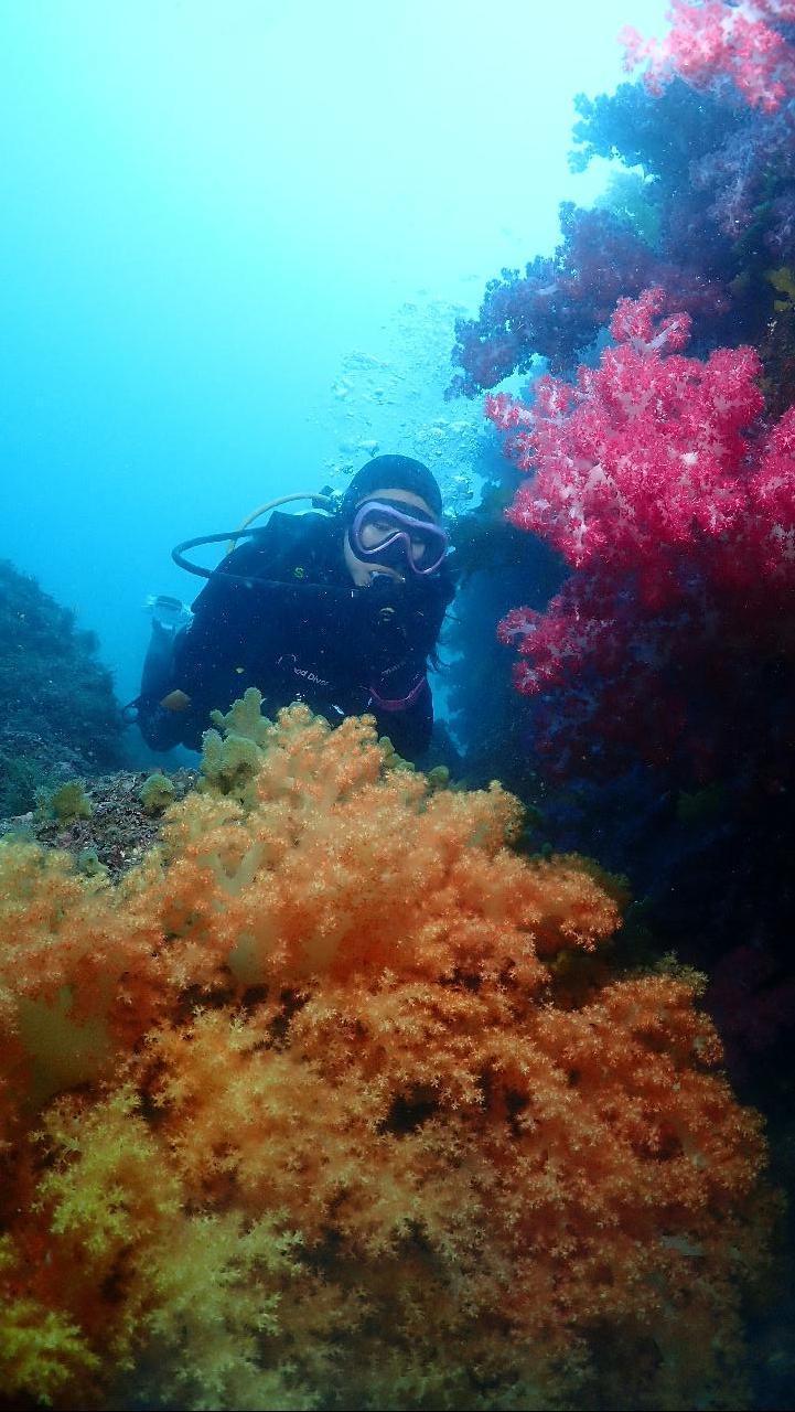 3 tanks mun island,jeju fun diving 