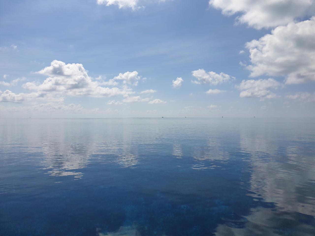 Fun diving