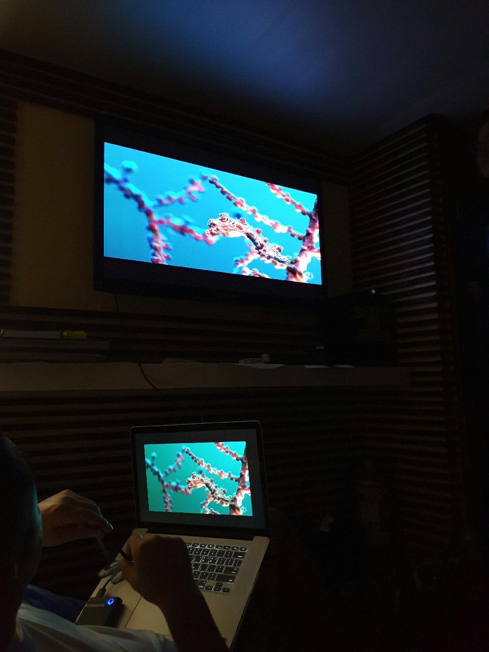 Fun diving