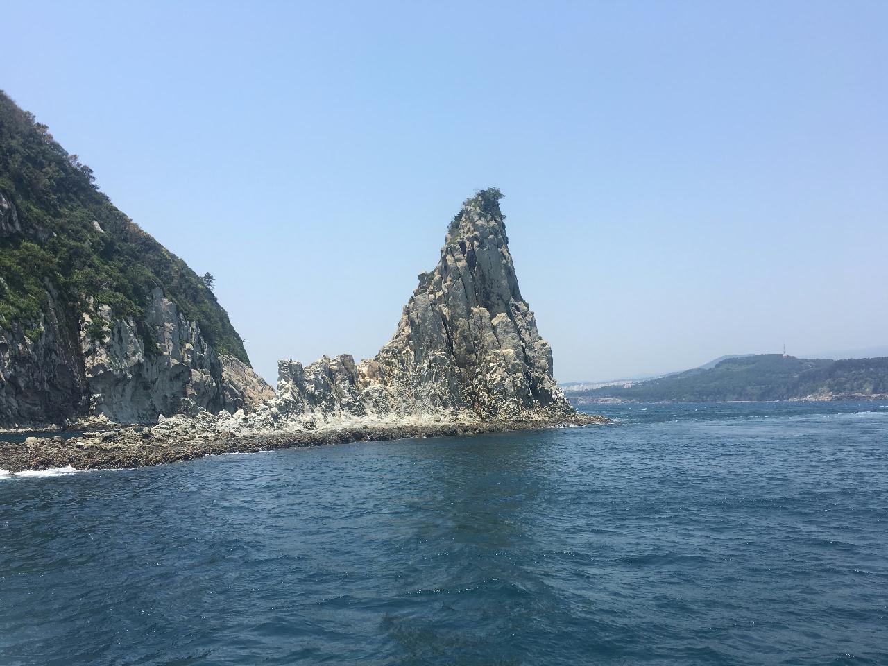 갯민숭달팽이와 납작벌레를 찾아서 