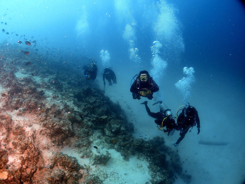 필리핀 팔라완 코론 부수앙가 - 코랄 실린더 산호 포인트 23일 3번째 잠수