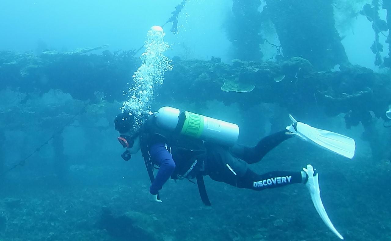 팔라우 - 난파선
