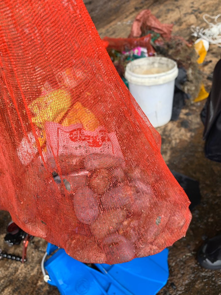 납뽕돌  심각함