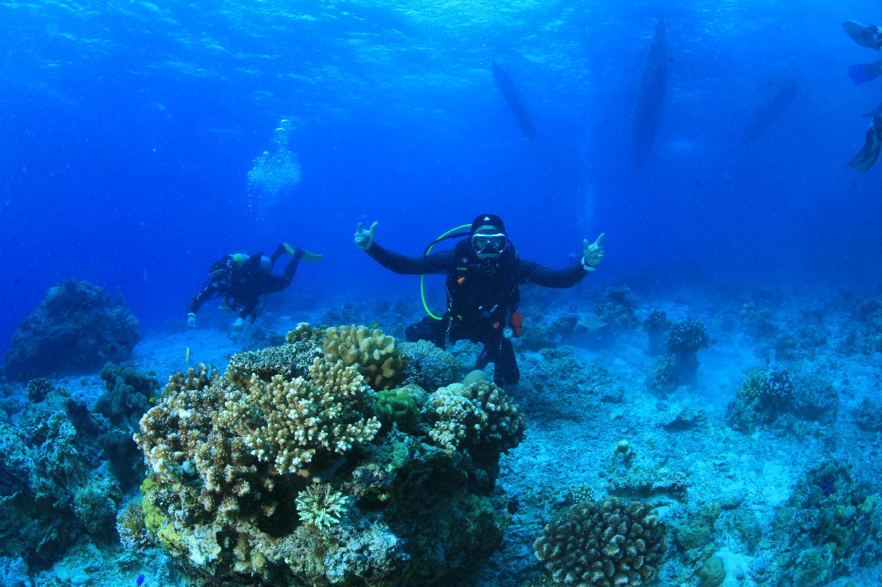 모알보알 pescador island _south ~ west