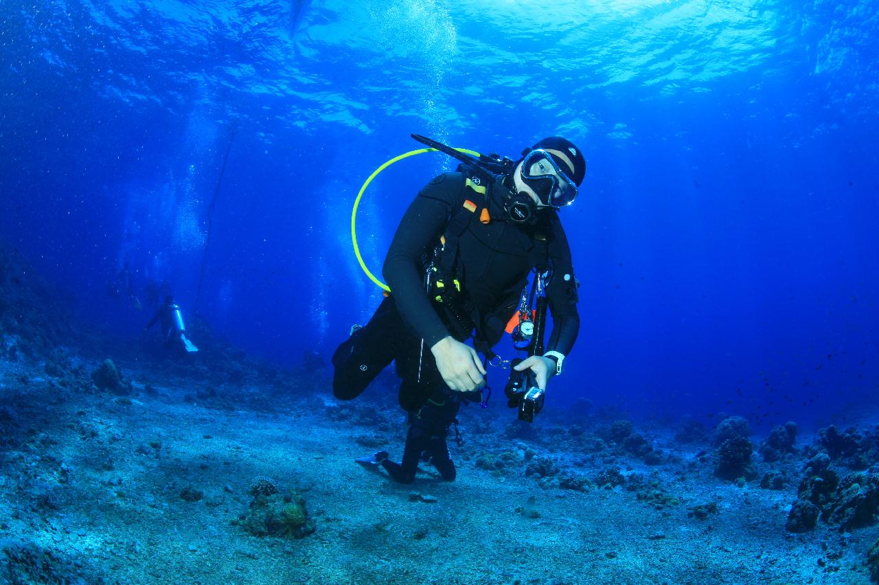 모알보알 pescador island _east point