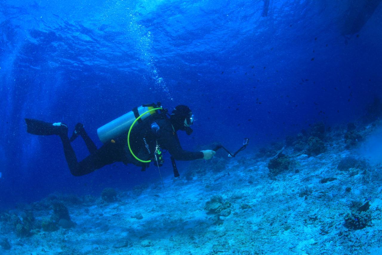 모알보알 pescador island _east point