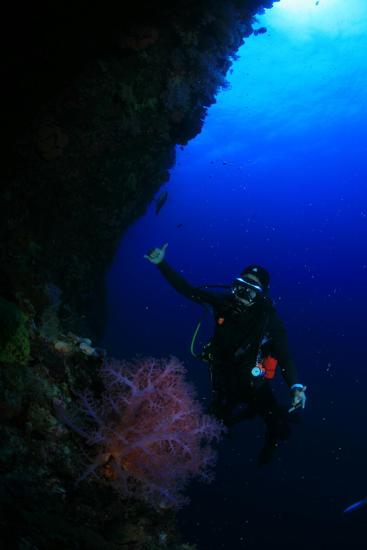 모알보알 pescador island _south ~ west
