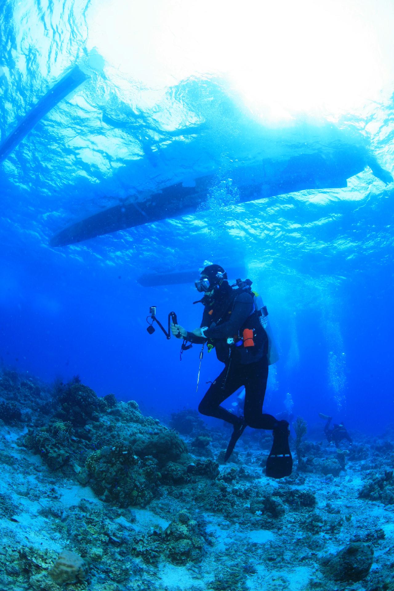모알보알 pescador island _south ~ west