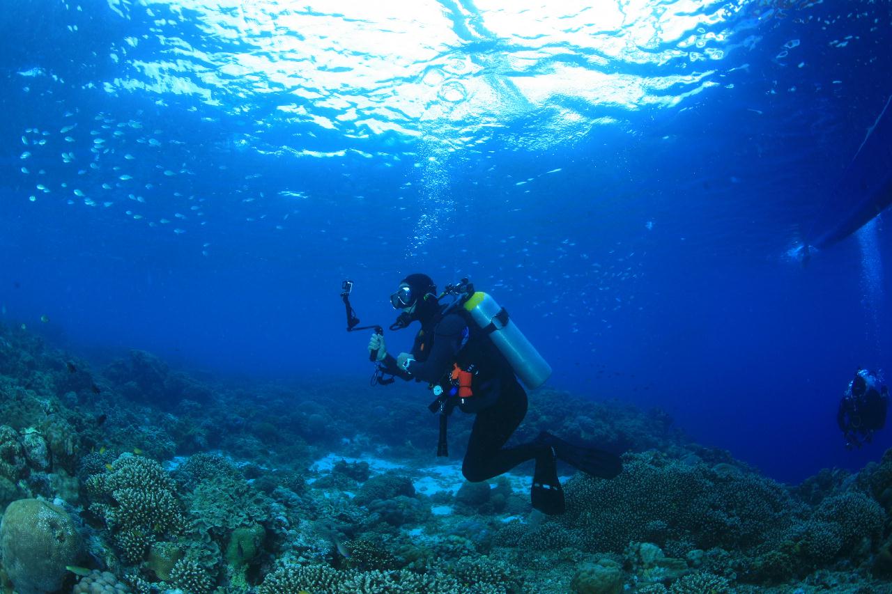 모알보알 Talisay point