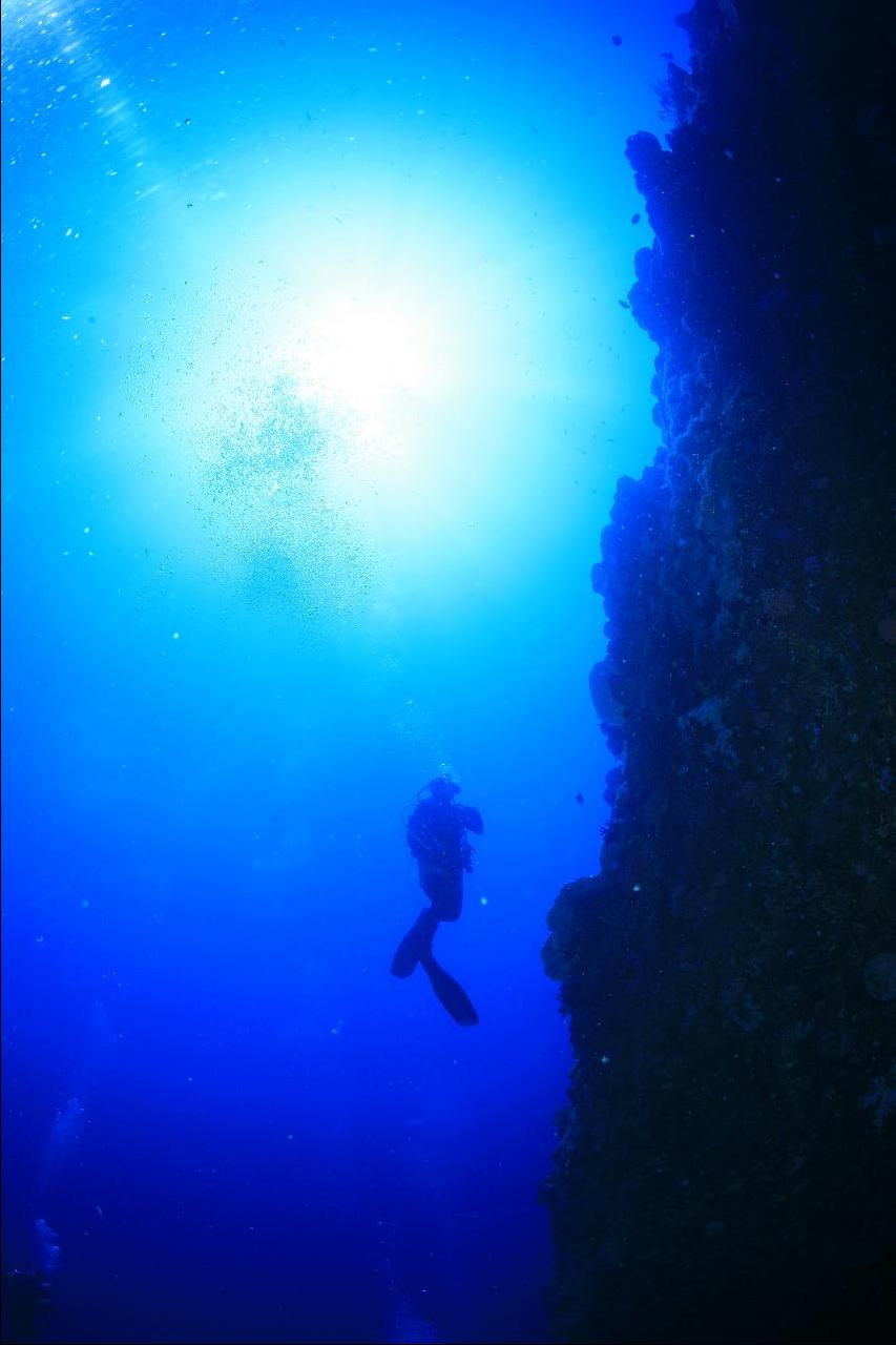 모알보알 pescador island _east point